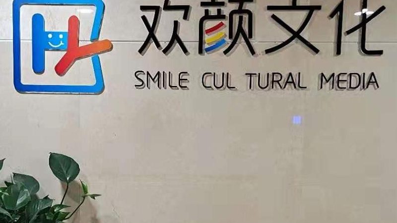 VI设计代理加盟：揭秘品牌加盟背后的逻辑与选择要点