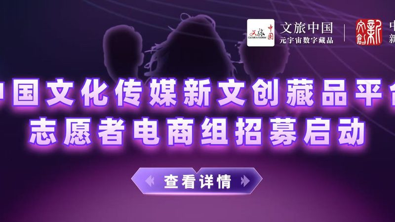 品牌设计合同规范：保障合作共赢的基石